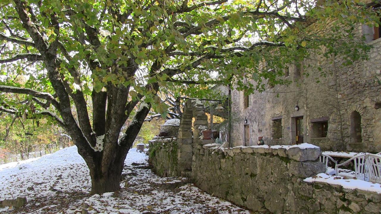 CurelDanse L'Ombre住宿加早餐旅馆 外观 照片